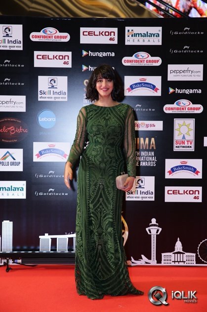 Celebs-at-SIIMA-2016